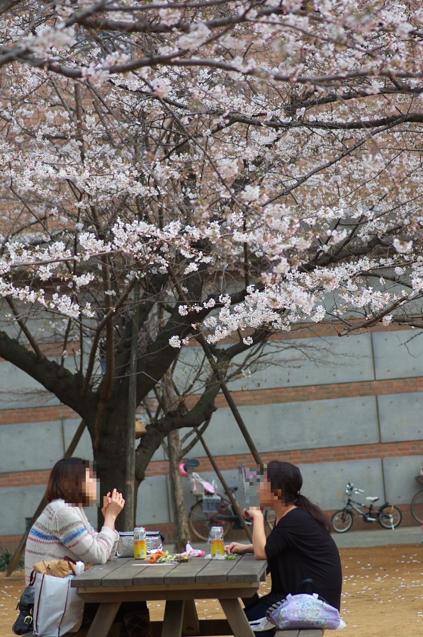 IMGP9062.jpg(483397 byte)