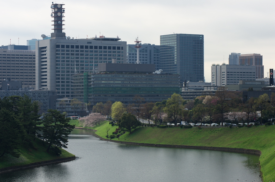 IMGP9148.jpg(295891 byte)