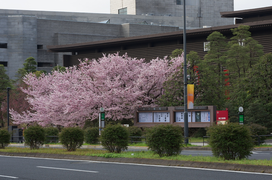 IMGP9167.jpg(412246 byte)