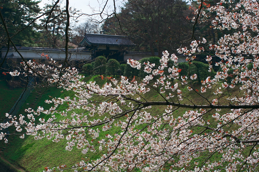 IMGP9171.jpg(646857 byte)