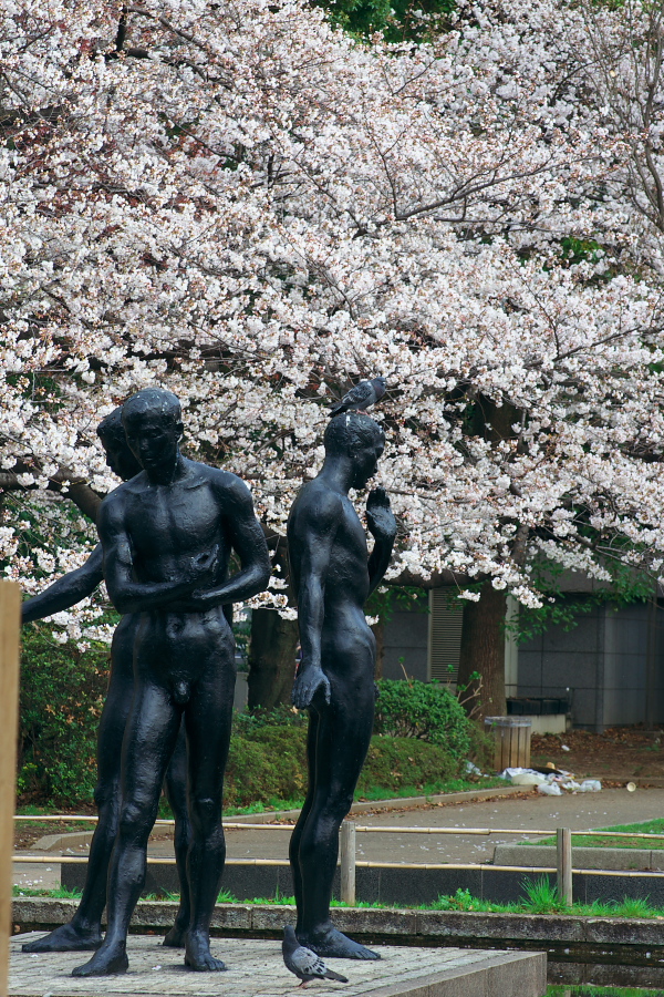 IMGP9187.jpg(584988 byte)