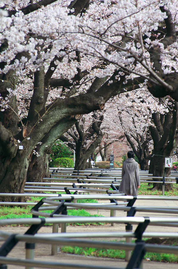 IMGP9199.jpg(468663 byte)