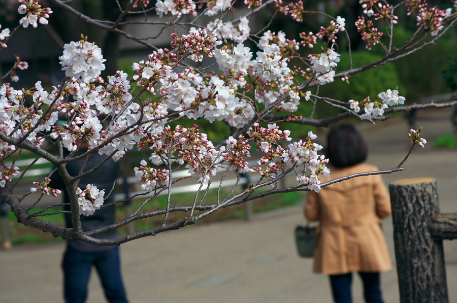 IMGP9203.jpg(363590 byte)