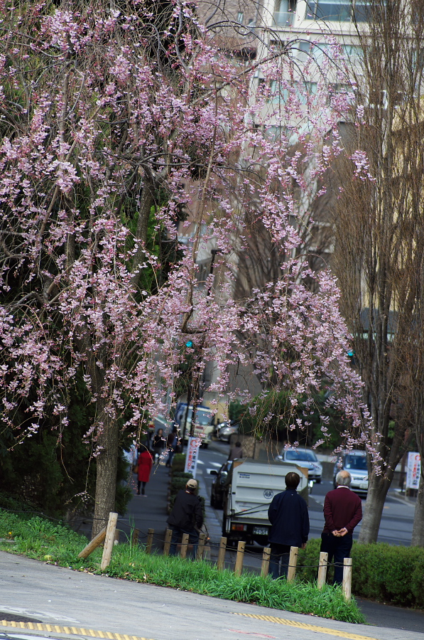 IMGP9222.jpg(589938 byte)