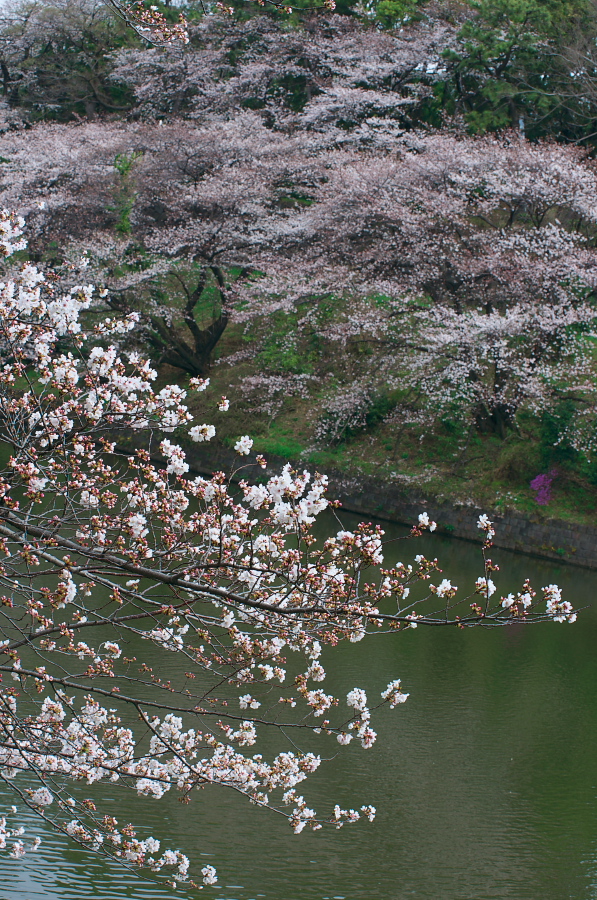 IMGP9235.jpg(577911 byte)