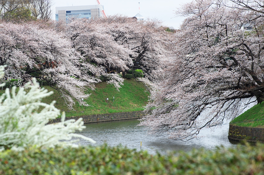 IMGP9243.jpg(520556 byte)