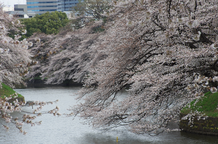 IMGP9253.jpg(564463 byte)