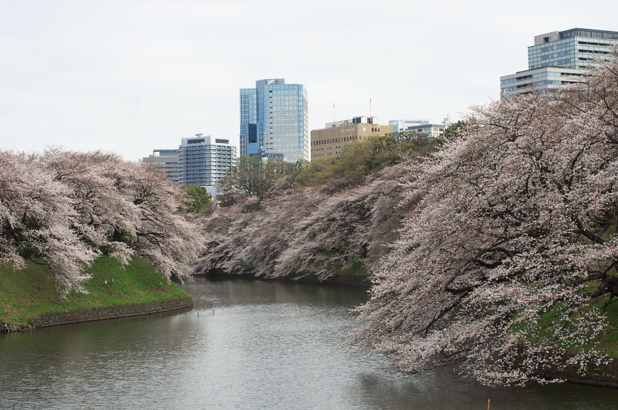 IMGP9263.jpg(423622 byte)