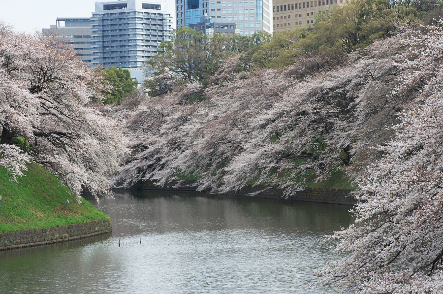 IMGP9264.jpg(530328 byte)