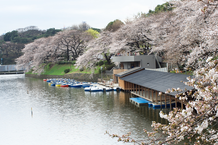 IMGP9276.jpg(504414 byte)