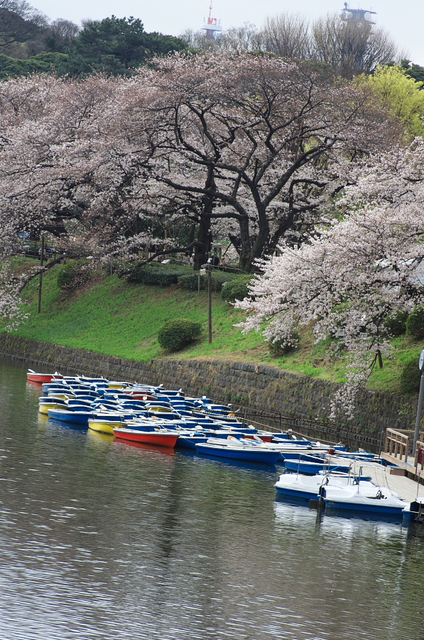 IMGP9284.jpg(549317 byte)