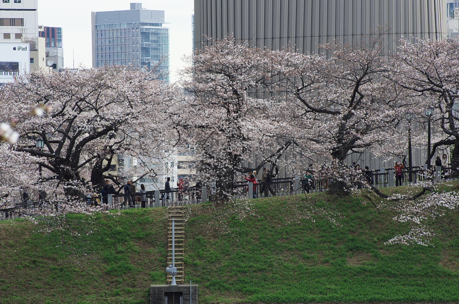 IMGP9287.jpg(553519 byte)