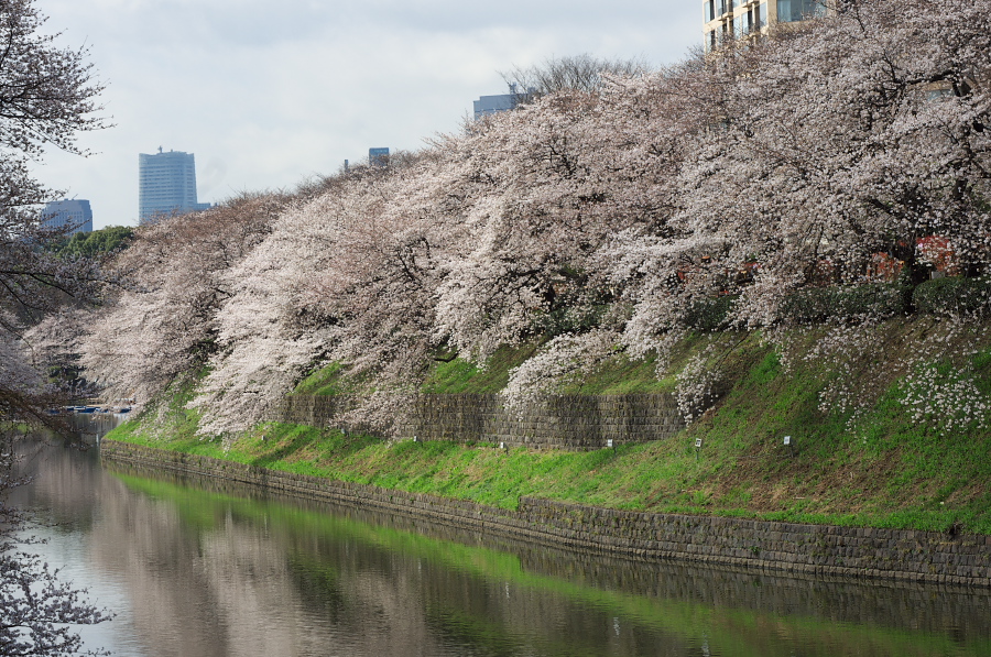 IMGP9291.jpg(485774 byte)