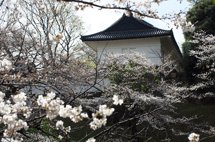 IMGP9295.jpg(596145 byte)