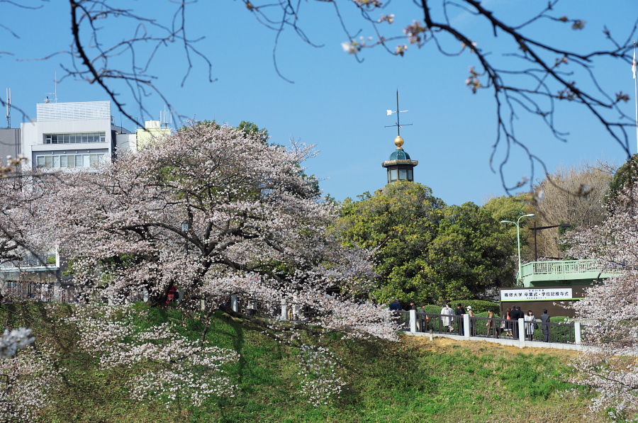 IMGP9310.jpg(506205 byte)