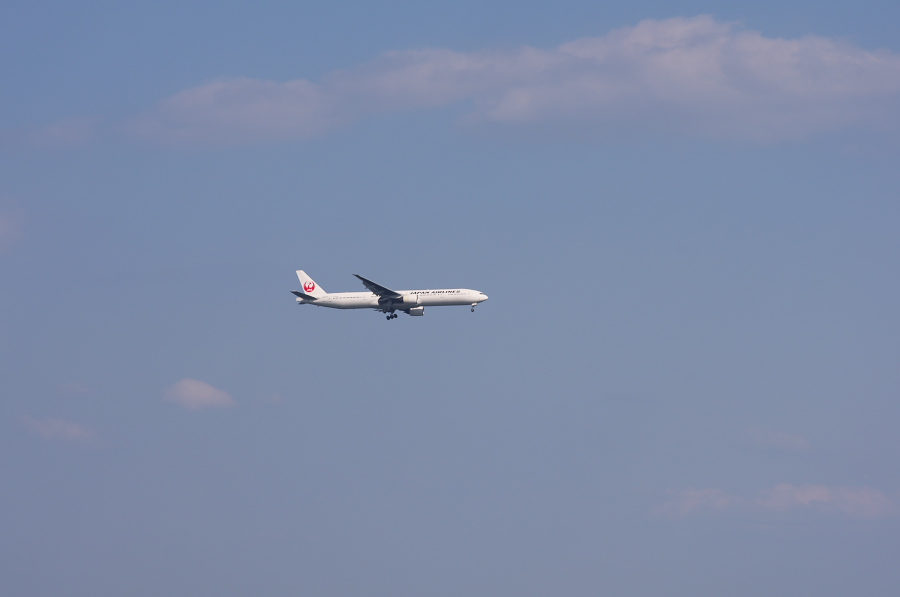 IMGP2354.jpg(87312 byte)