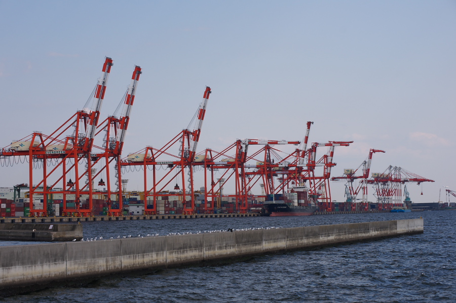 IMGP2433.jpg(285572 byte)