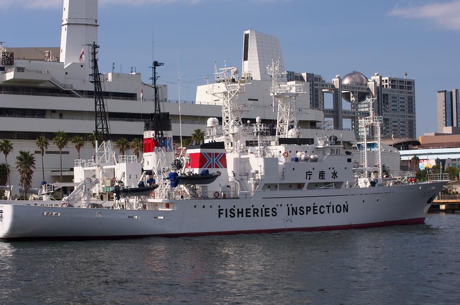 IMGP2440.jpg(334683 byte)