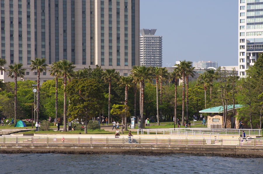 IMGP2451.jpg(432977 byte)