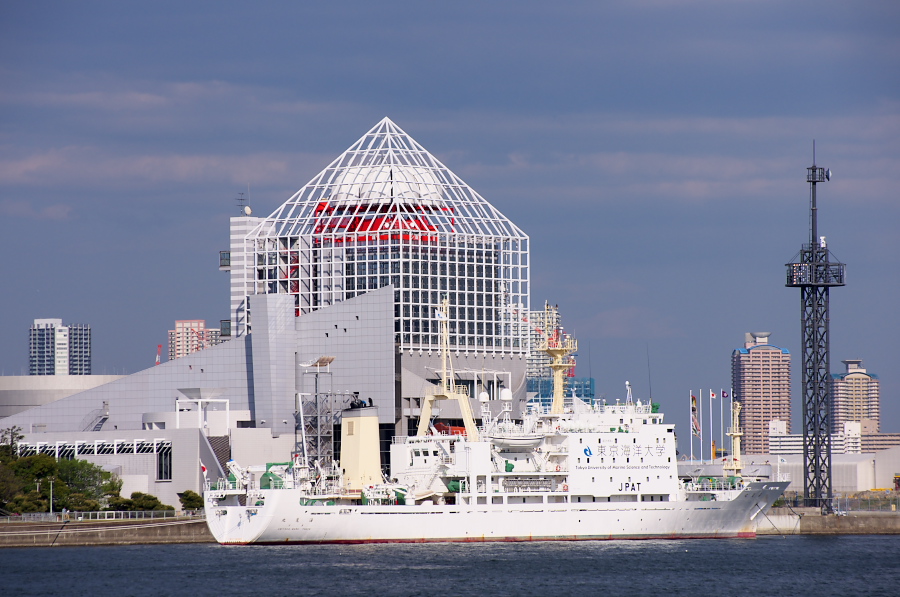 IMGP2545.jpg(293434 byte)