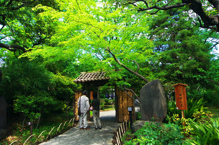 IMGP5149.jpg(719261 byte)