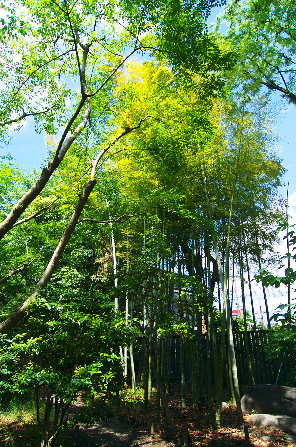 IMGP5292.jpg(751410 byte)