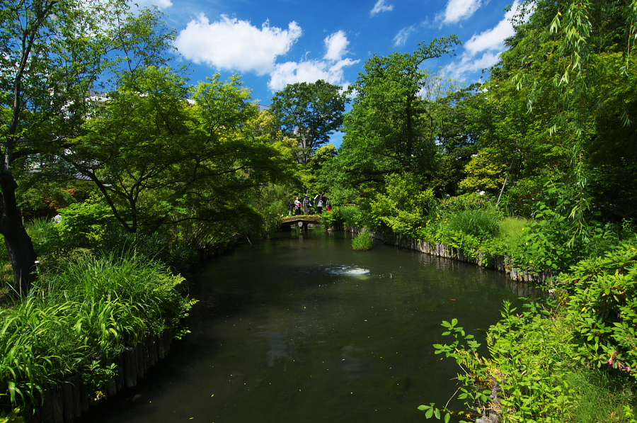 IMGP5297.jpg(552579 byte)