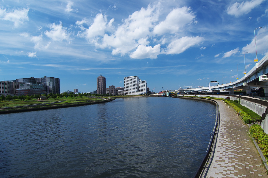 IMGP5336.jpg(330737 byte)