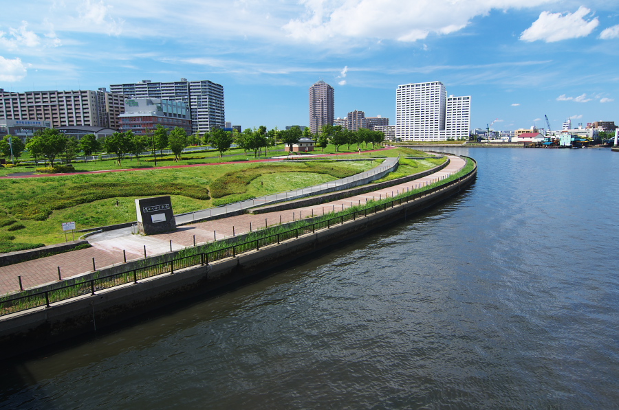 IMGP5345.jpg(379616 byte)