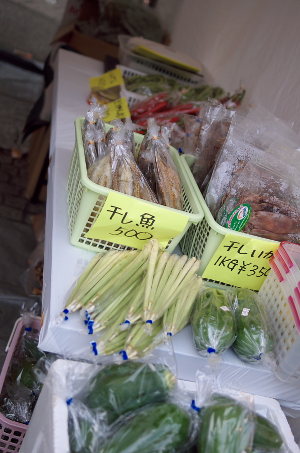 IMGP5825.jpg(274996 byte)