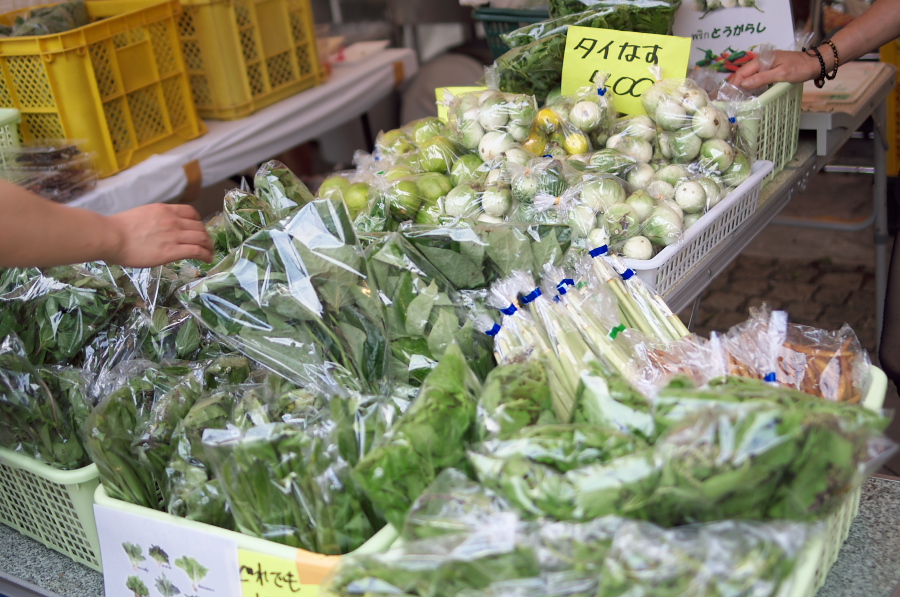 IMGP5827.jpg(366899 byte)