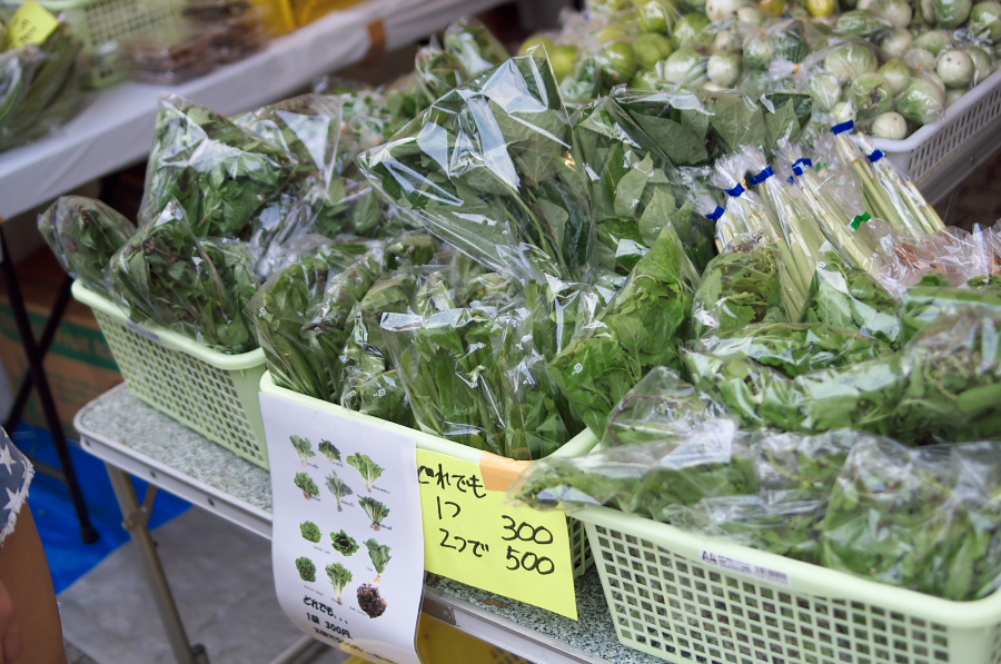 IMGP5828.jpg(374353 byte)