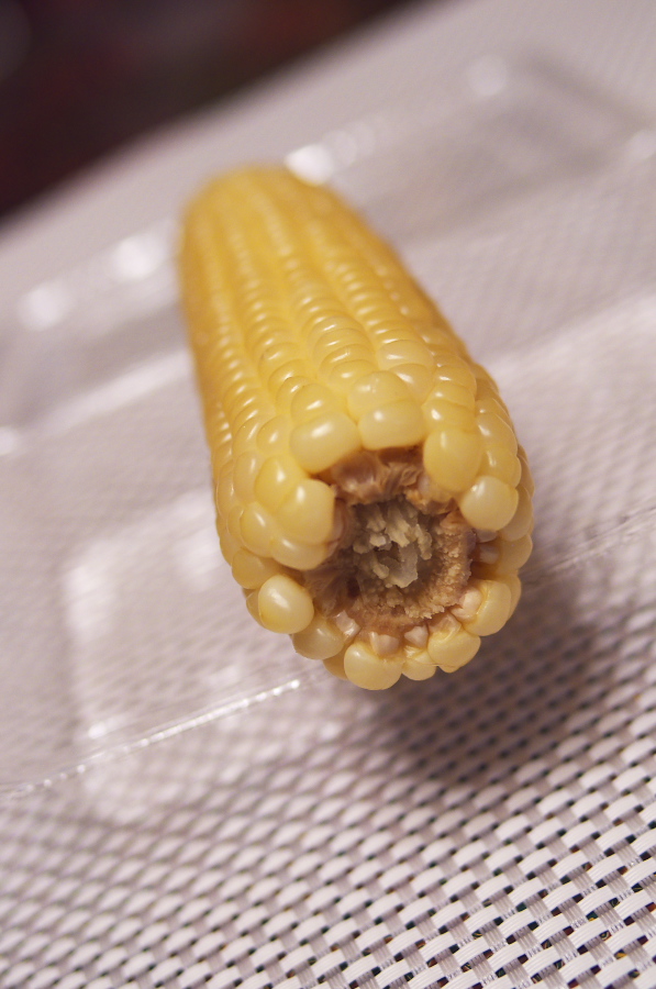 IMGP5846.jpg(250006 byte)