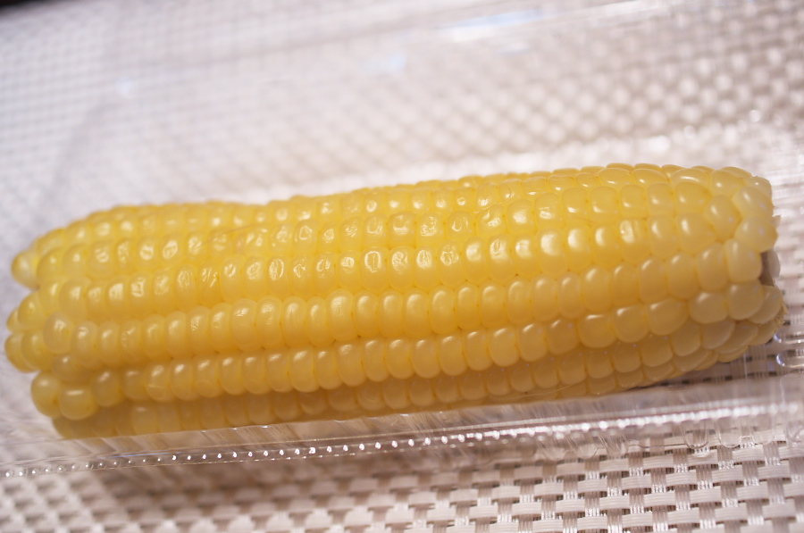 IMGP5876.jpg(226745 byte)