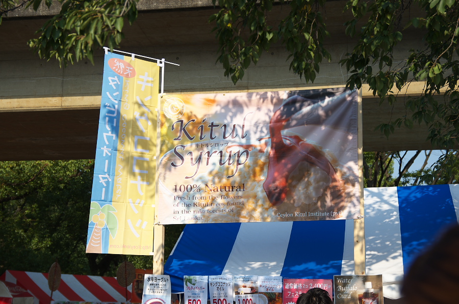 IMGP6173.jpg(357086 byte)