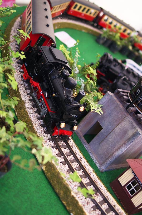 IMGP6651.jpg(378310 byte)