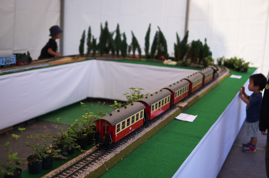 IMGP6654.jpg(241833 byte)