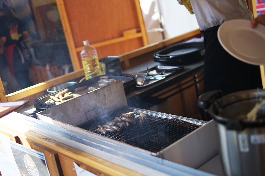 IMGP6667.jpg(247335 byte)