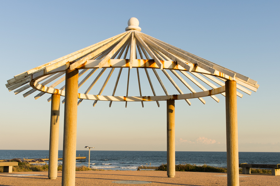 IMGP7990.jpg(309328 byte)