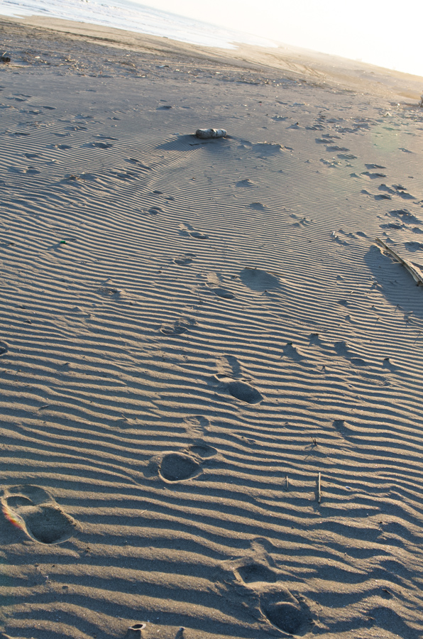 IMGP8001.jpg(532192 byte)