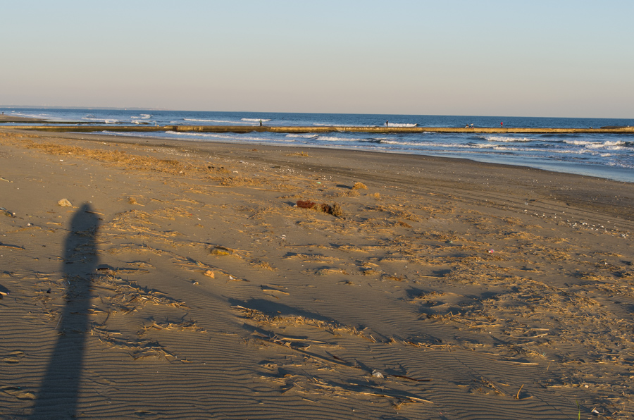 IMGP8004.jpg(389967 byte)