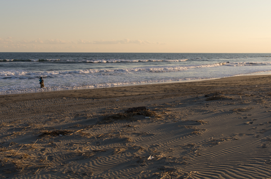 IMGP8017.jpg(367049 byte)