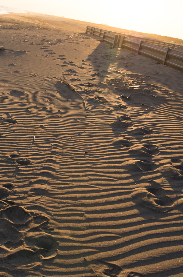 IMGP8021.jpg(467604 byte)