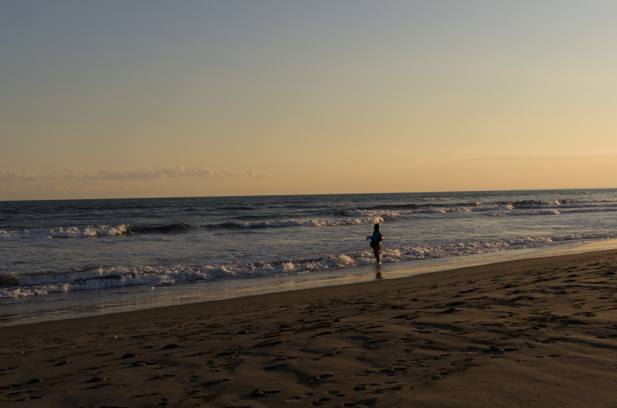 IMGP8027.jpg(240873 byte)