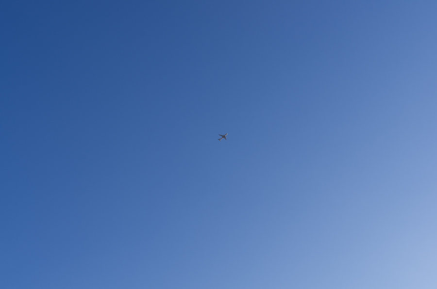 IMGP8030.jpg(93000 byte)