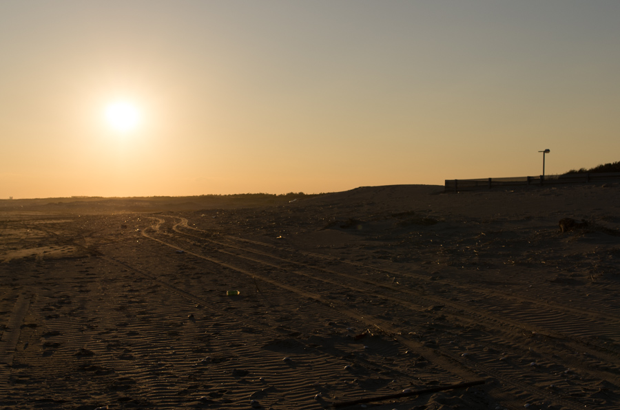 IMGP8042.jpg(241463 byte)