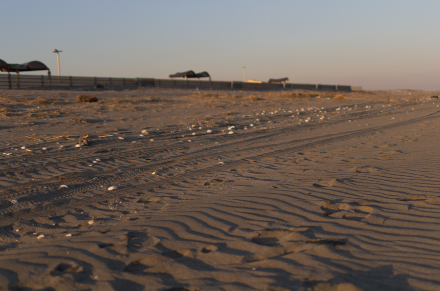 IMGP8051.jpg(285697 byte)