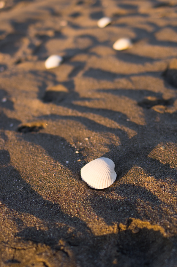 IMGP8058.jpg(335785 byte)