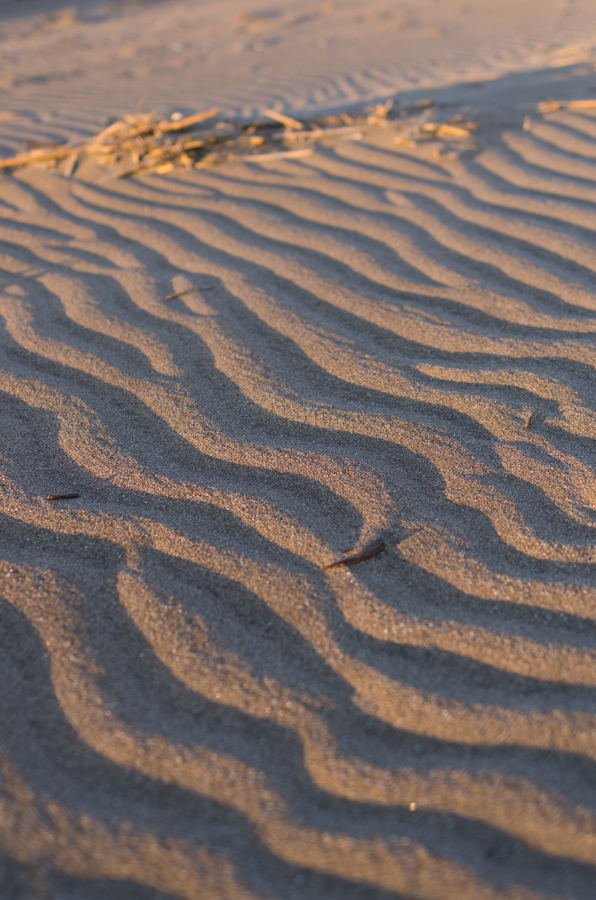 IMGP8062.jpg(357366 byte)