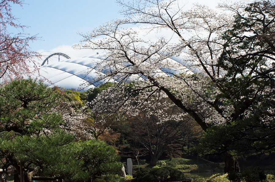 IMGP9314.jpg(592174 byte)